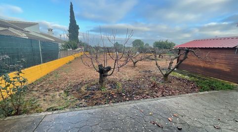 Foto 4 de Finca rústica en venda a Bobadilla - Bobadilla Estación - La Joya, Antequera