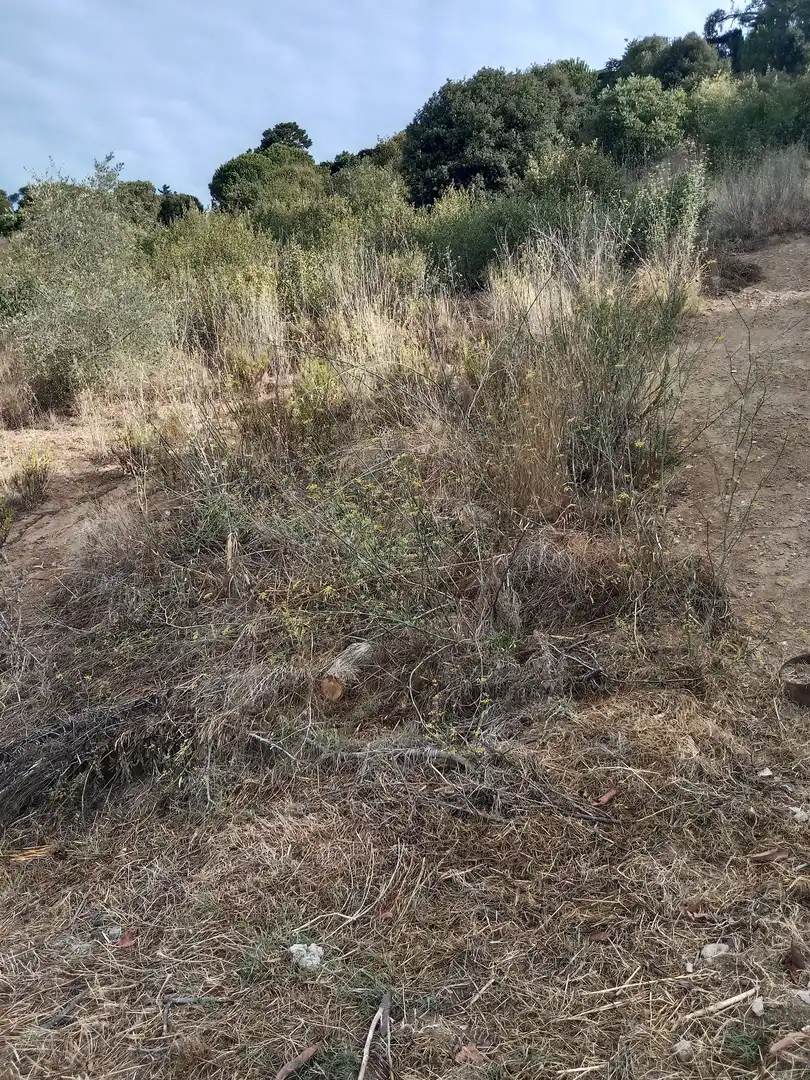 Terrenos y solares en venta en Sant Cebrià de Vallalta, imagen 5