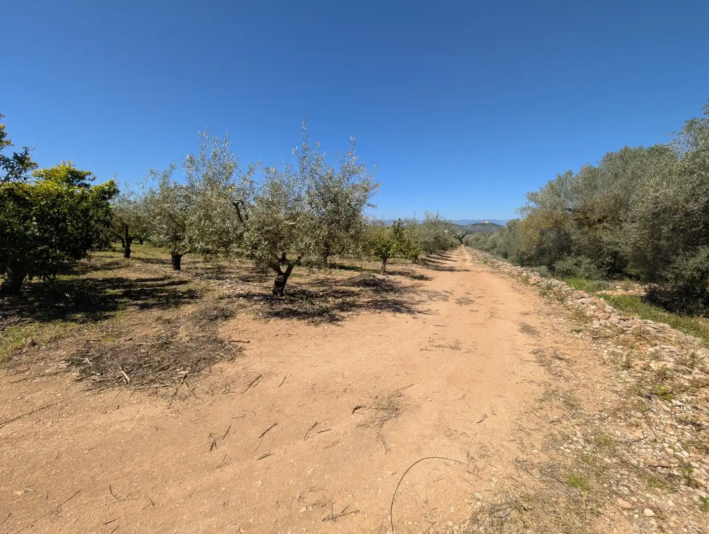 Grundstücke zum Verkauf in Ulldecona