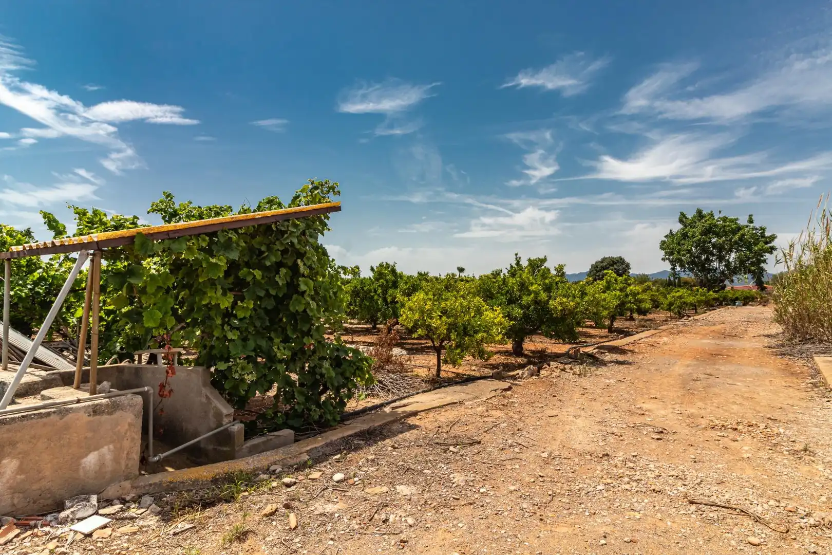 Rural land for sale in Polígono Polígono 4 Paraje 109 MADRIGAL 917, imagen 6