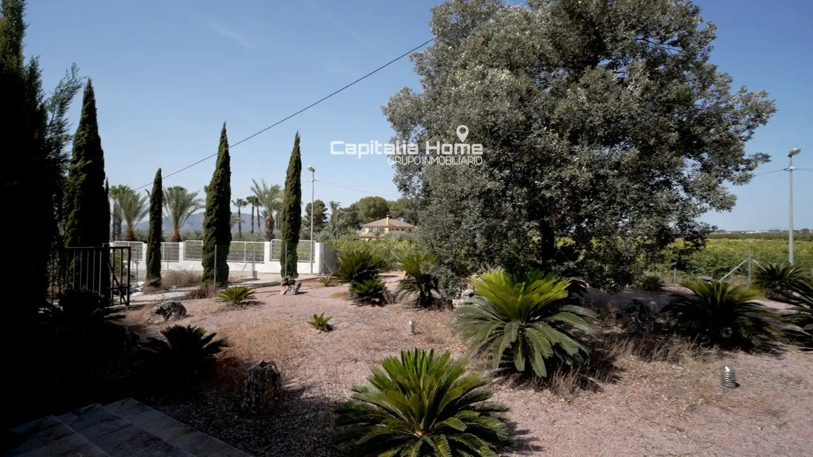 Vista exterior de Casa o chalet en venta en Orihuela
