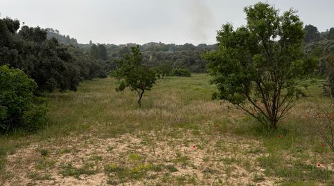 Parcela agrícola rústica en venta: un remanso de paz en el campo., immagine 4