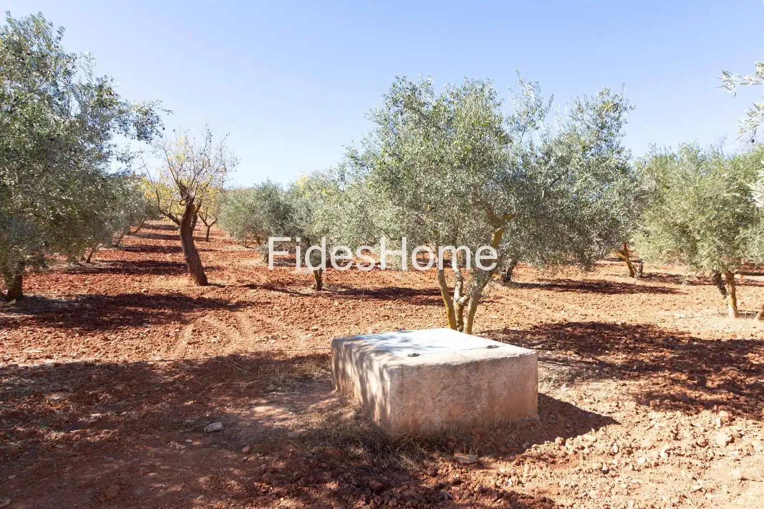 Rural land for sale in XC7V+6WV Acequias 0, imagen 4