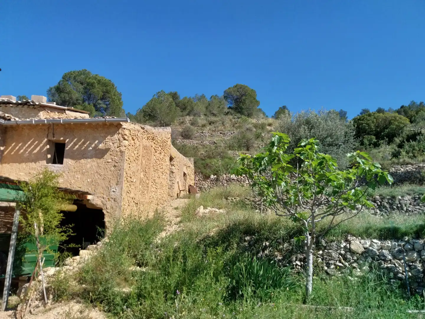 Terreno rustico in vendita a Lugar Castillo, imagen 29