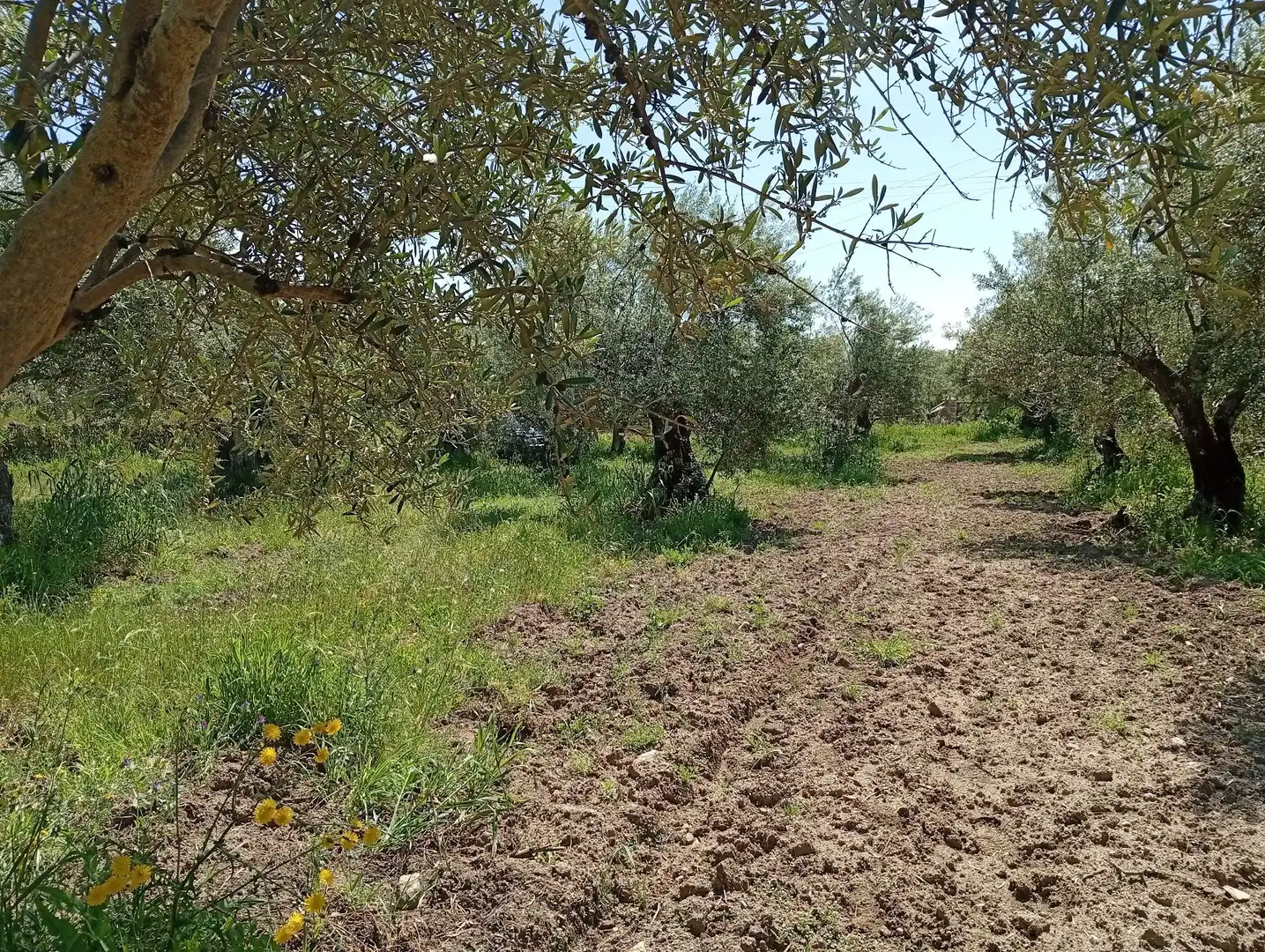 Terreni e lotti in vendita a Villanueva de la Vera, imagen 34