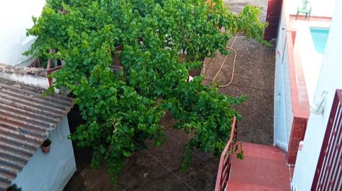 Foto 3 de Finca rústica en venda a Carretera de Nueva Carteya, Montilla, Córdoba