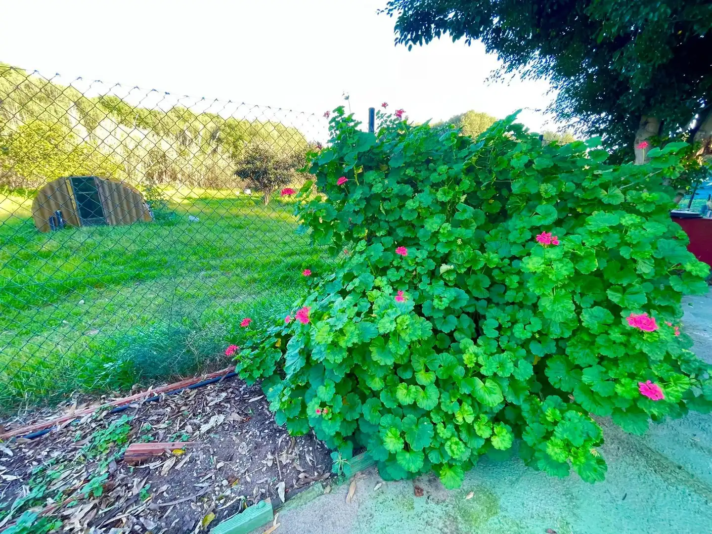 Garden of Houses for sale in La Línea de la Concepción