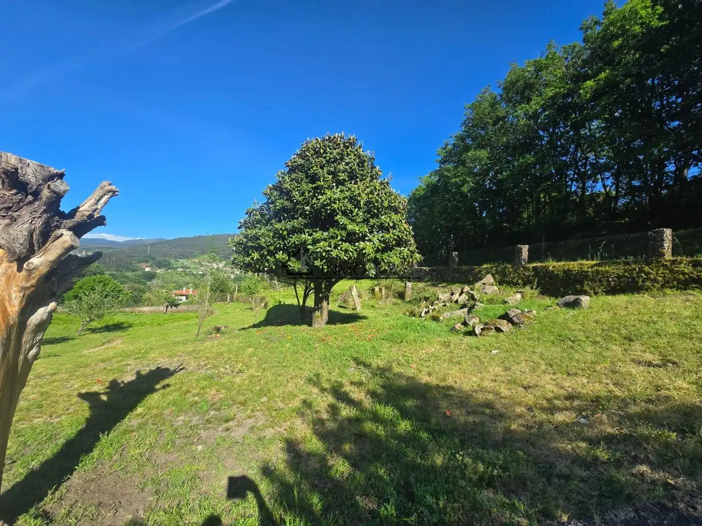 Casa o xalet en venda en Pontevedra Capital  amb Jardí privat