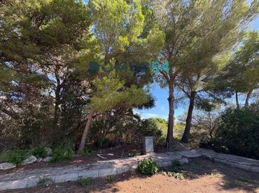 Terreny rústic en venda a Cales de Mallorca