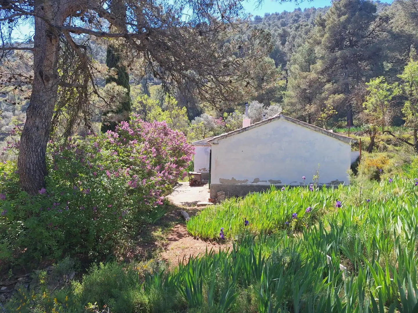 Jardí de Finca rústica en venda en Alcoy / Alcoi amb Traster i Moblat