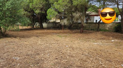 Parcela Segregada 750m