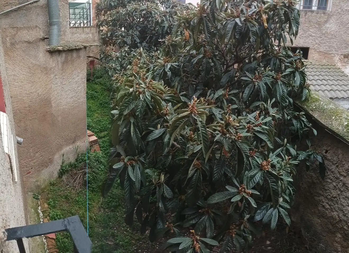 Houses for sale in Morés  with Private garden