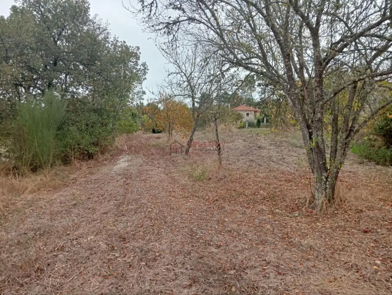 Residencial en venda en San Cibrao das Viñas
