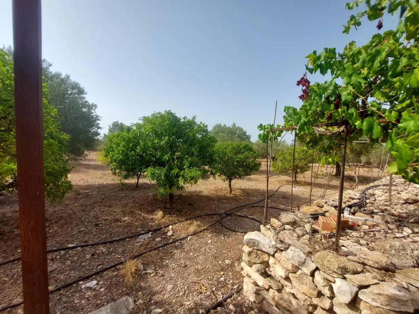 Finca rústica en venda en L'Ametlla de Mar  amb Terrassa i Moblat