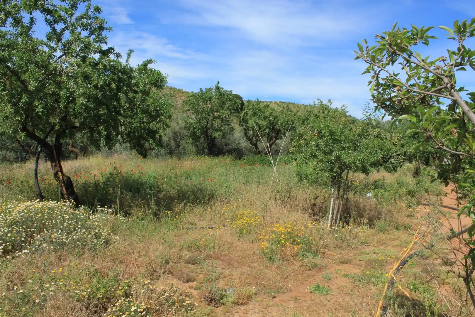 Terreno en venta en Nigüelas