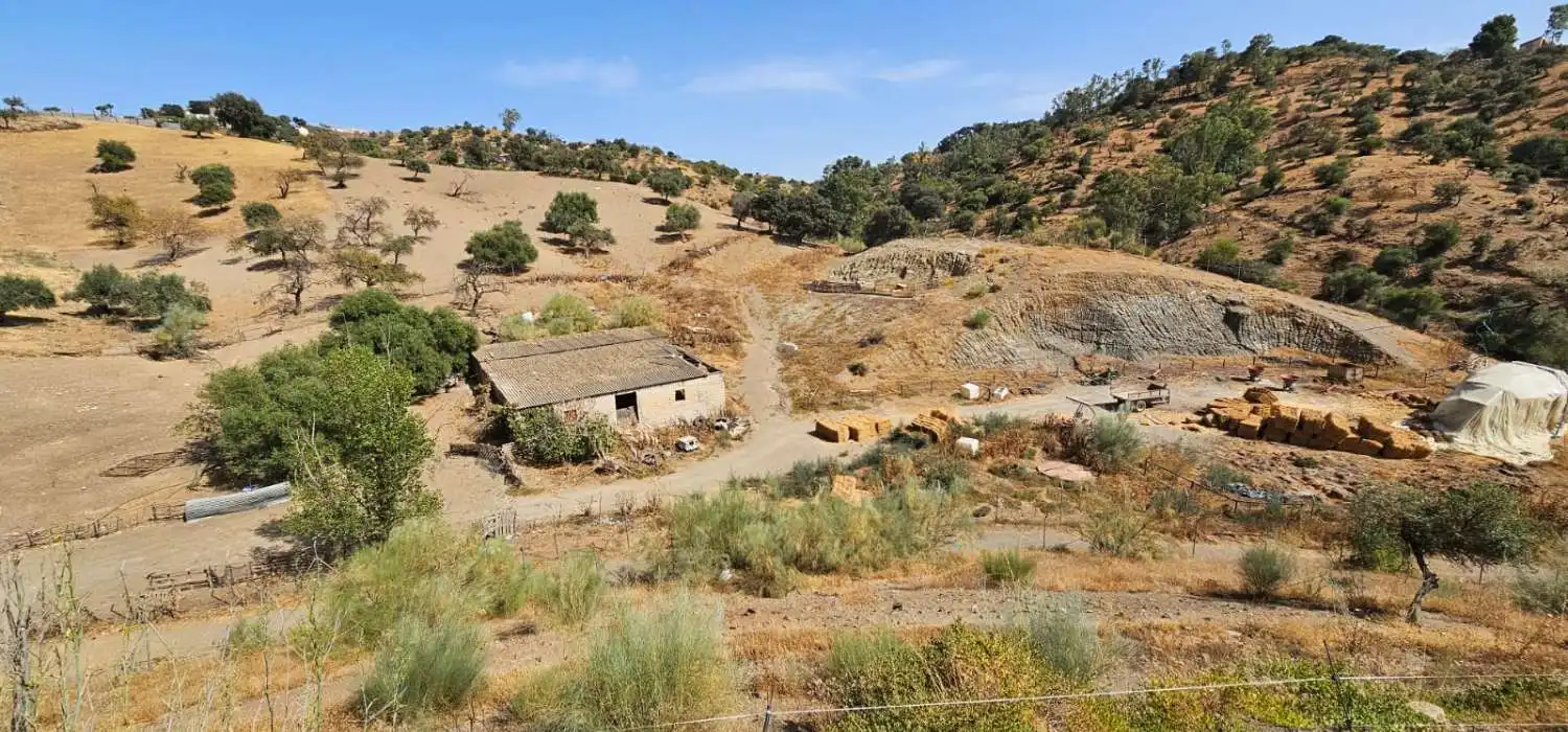Villa avec piscine à vendre à Gibralgalía, imagen 68