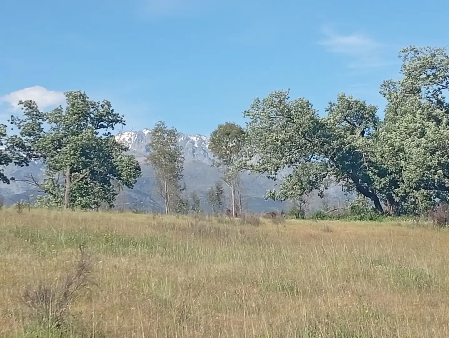 Terreni e lotti in vendita a Villanueva de la Vera, imagen 28