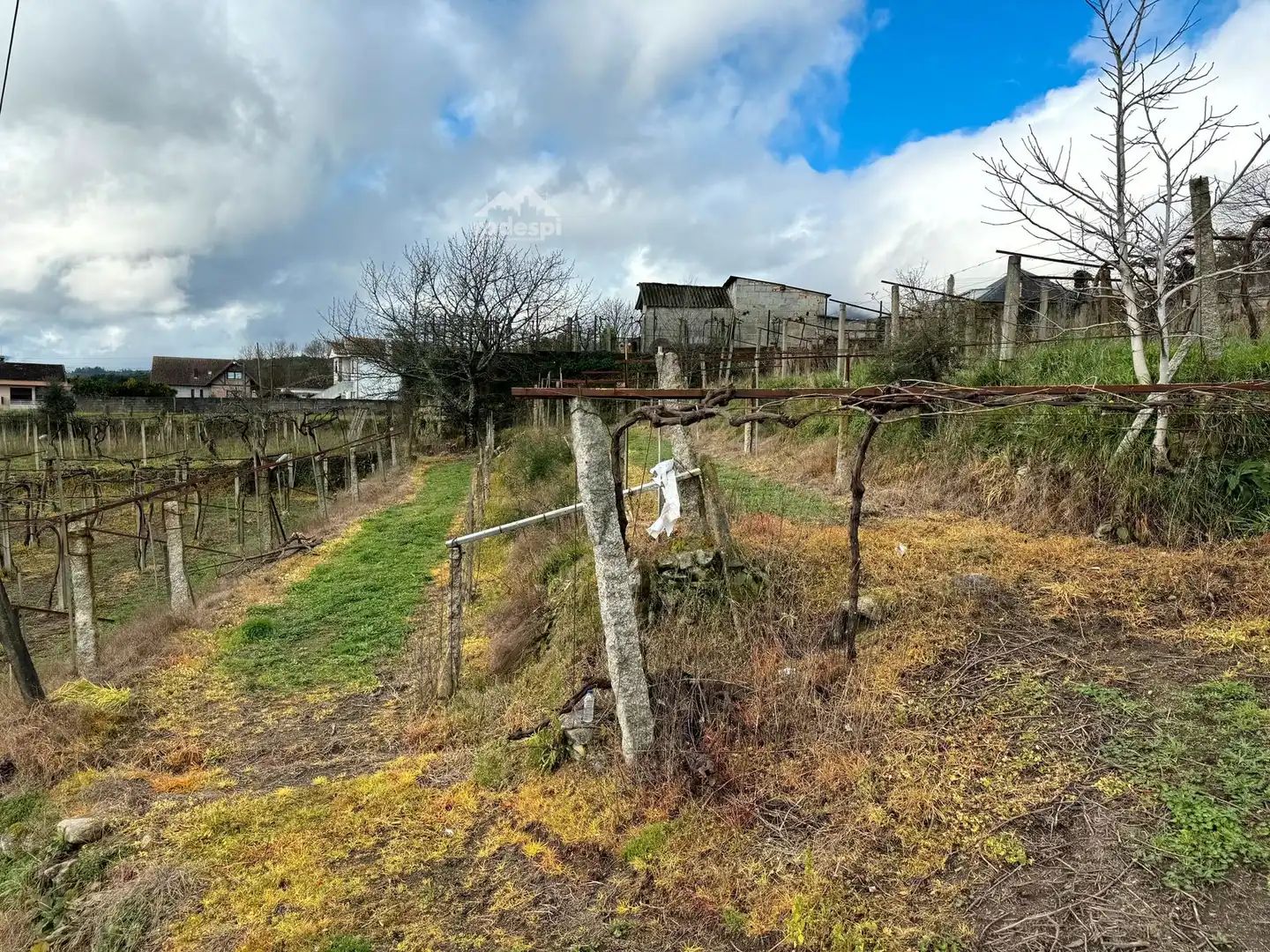 Rural land for sale in Arbo, imagen 9