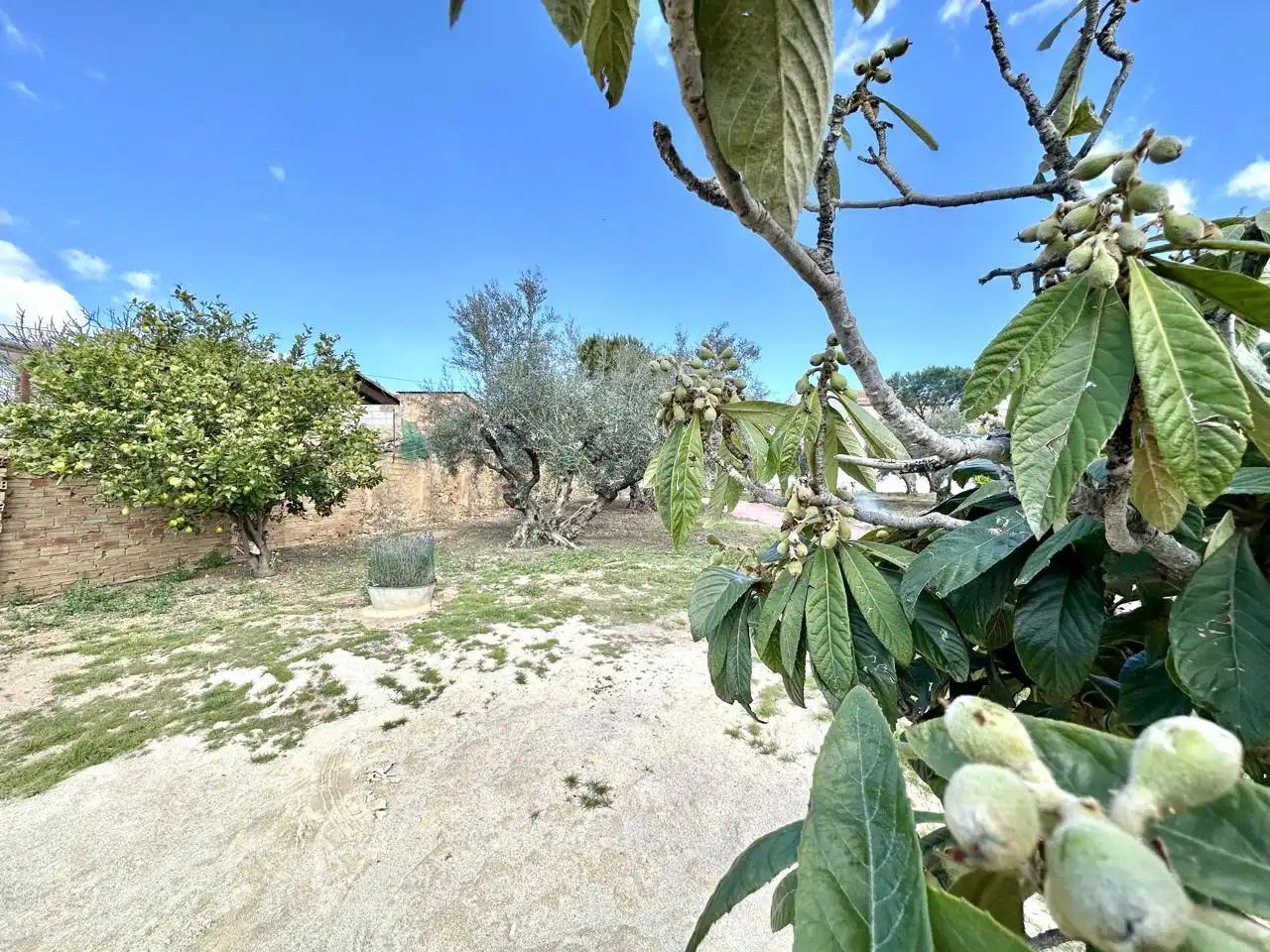 Casa amb jardí en venda a Villanueva de Algaidas, imagen 52
