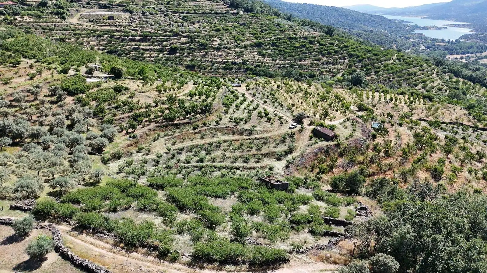 Terreni e lotti in vendita a Urbanizacion el Pajarejo, imagen 31