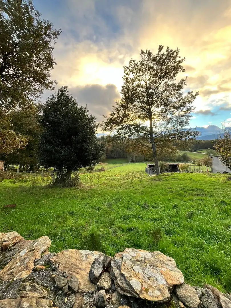 Terrenys i solars en venda a Lalín, imagen 11