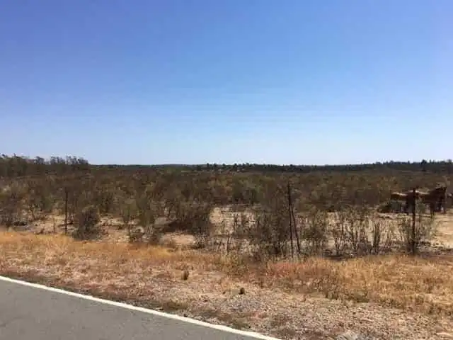 Terreni e lotti in vendita a Paraje el Encinar, imagen 7