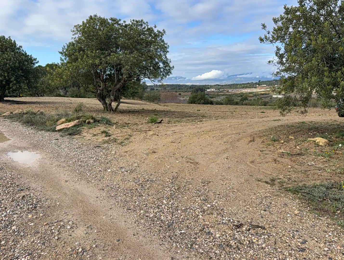 Terrain rustique à vendre à Cami Futbol 14A, imagen 4