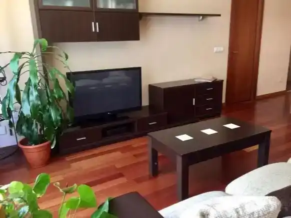Wohnzimmer von Wohnung zur Miete in Aisa mit Parkett, Abstellraum und Möbliert
