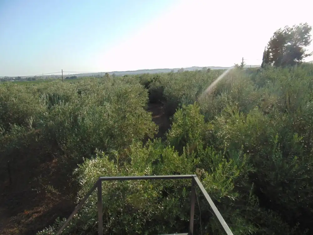 Finca rústica en venta en Lora del Río con Aire acondicionado, Calefacción y Terraza