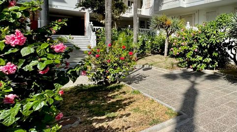 726  Amplio apartamento con terraza a 100 m de Playa San Cristóbal  Almuñécar, imagen 2