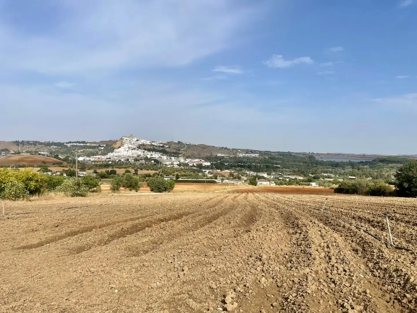 Terreni e lotti in vendita a Arcos de la Frontera, imagen 28