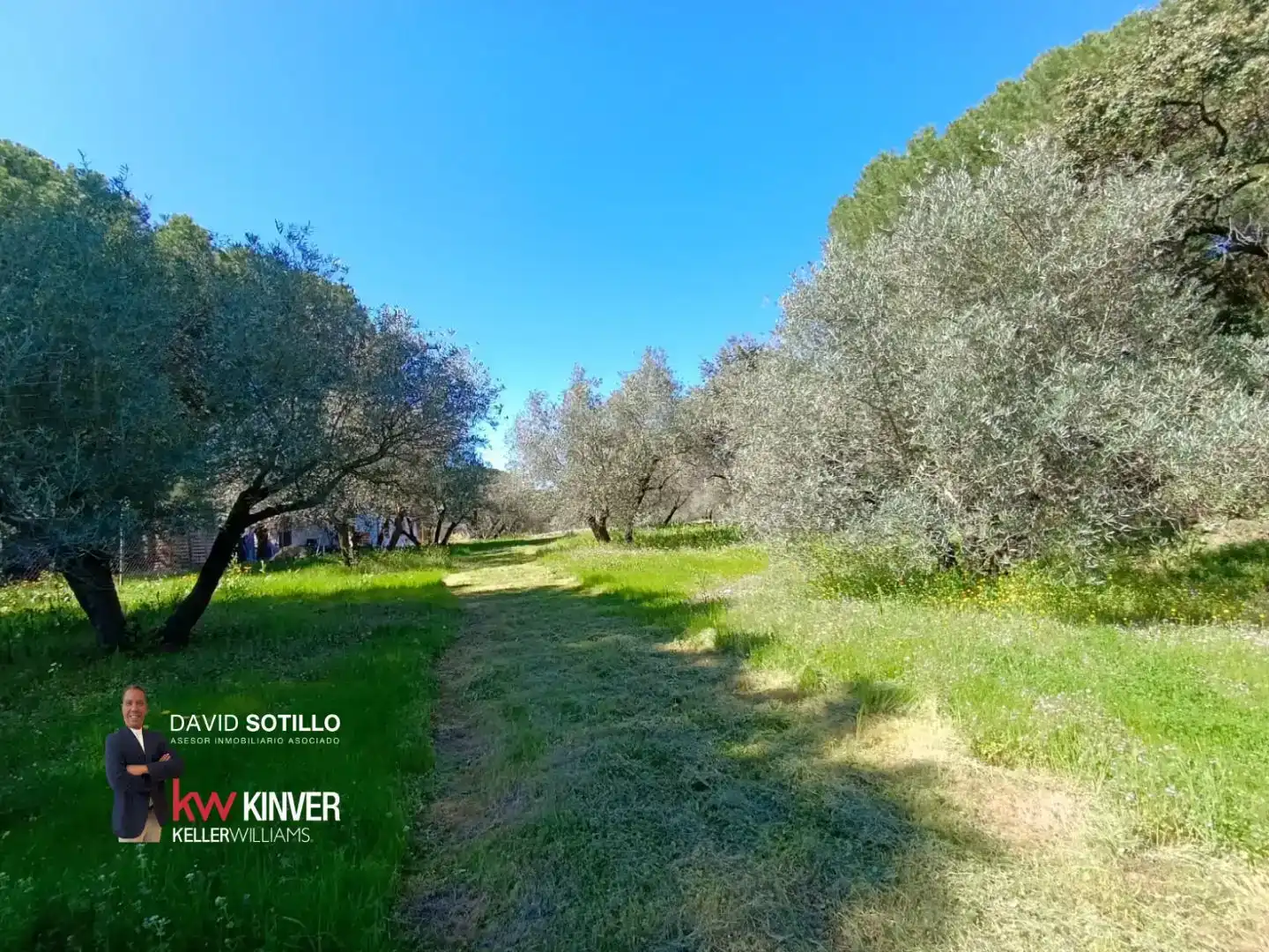 Casa o chalet en venta en Bailén con Aire acondicionado, Jardín privado y Trastero
