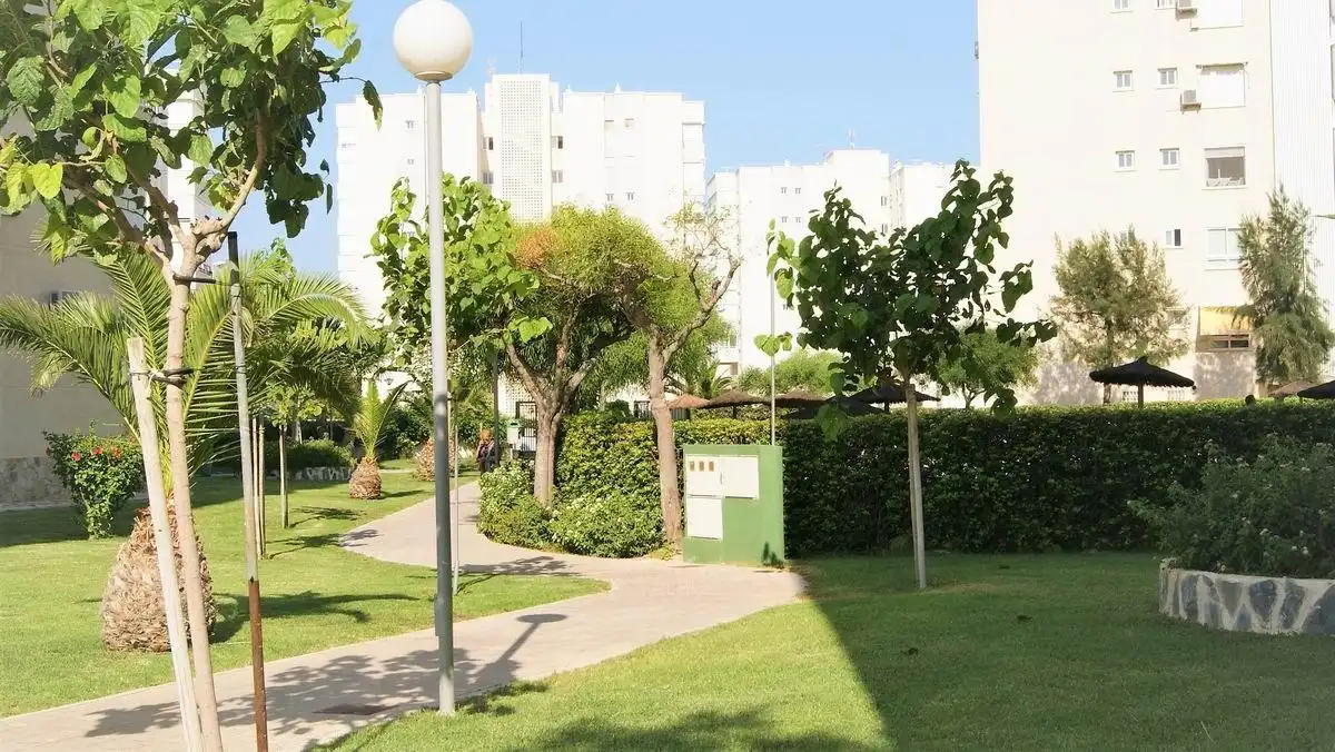 Apartament de lloguer a Calle del Músico José Mira Figueroa, imagen 25