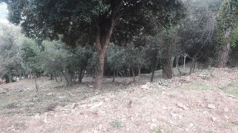 TERRENO IMPRESIONANTES VISTAS !, immagine 5