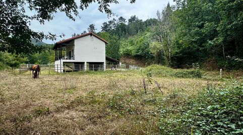FINCA EDIFICABLE A 10 KM DE LA PLAYA, imagen 3