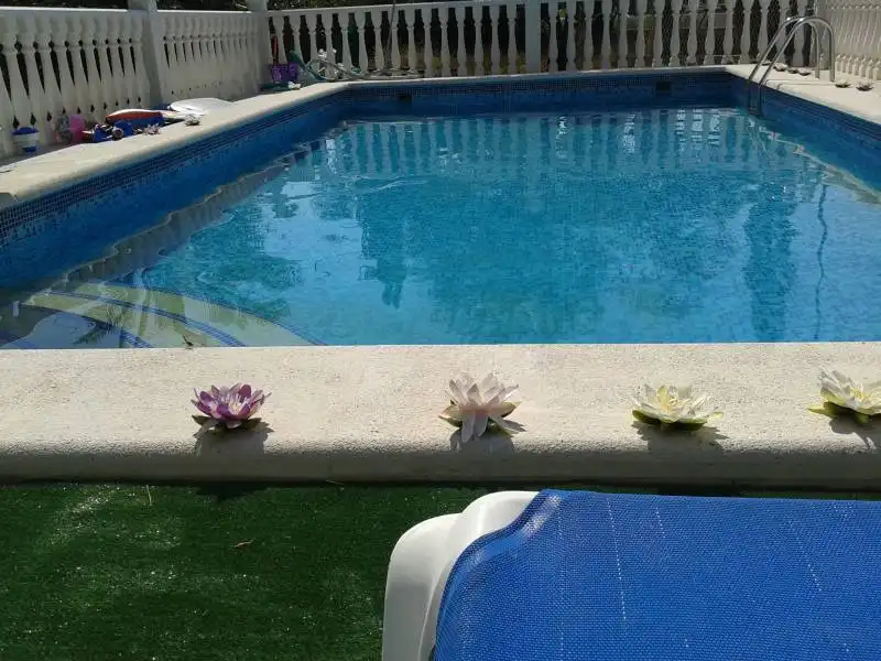 Villa avec piscine à vendre à Crevillent, imagen 15