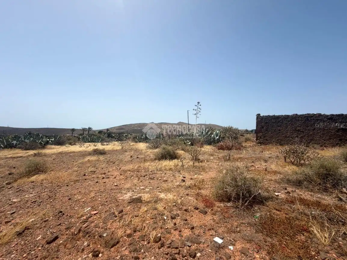 Rural land for sale in Ingenio pueblo, imagen 11