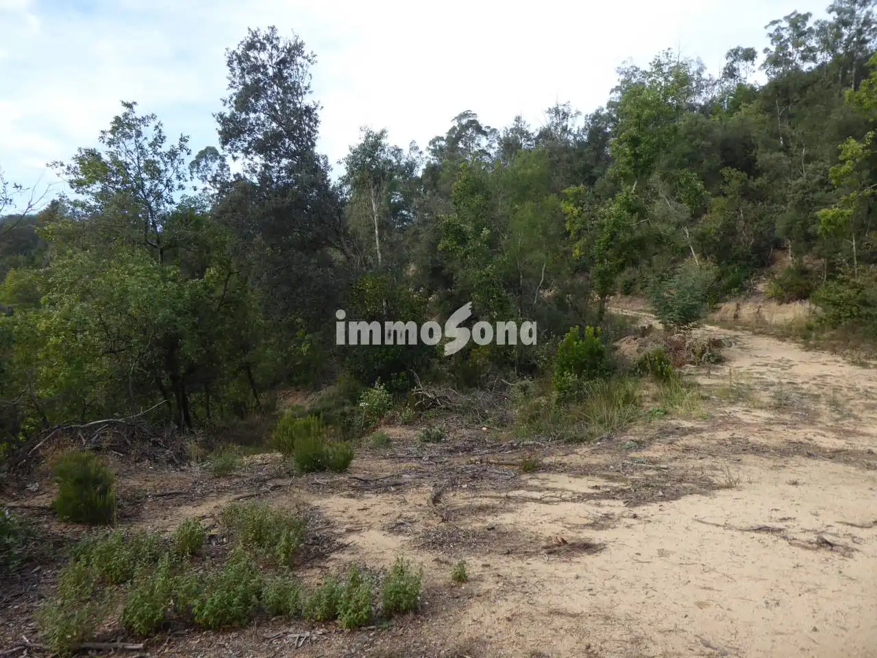 Terreno rustico in vendita a Vilanova de Sau, imagen 3