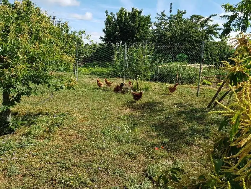 Finca rústica en venda en Aldehuela de Yeltes amb Calefacció