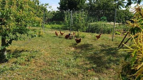 Photo 5 of Country house for sale in Aldehuela de Yeltes, Salamanca