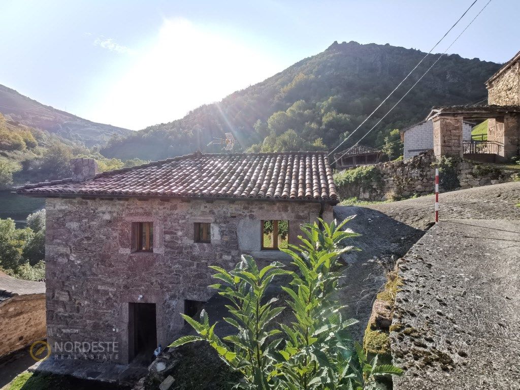 Vista exterior de Finca rústica en venda en Somiedo amb Calefacció, Terrassa i Rentadora