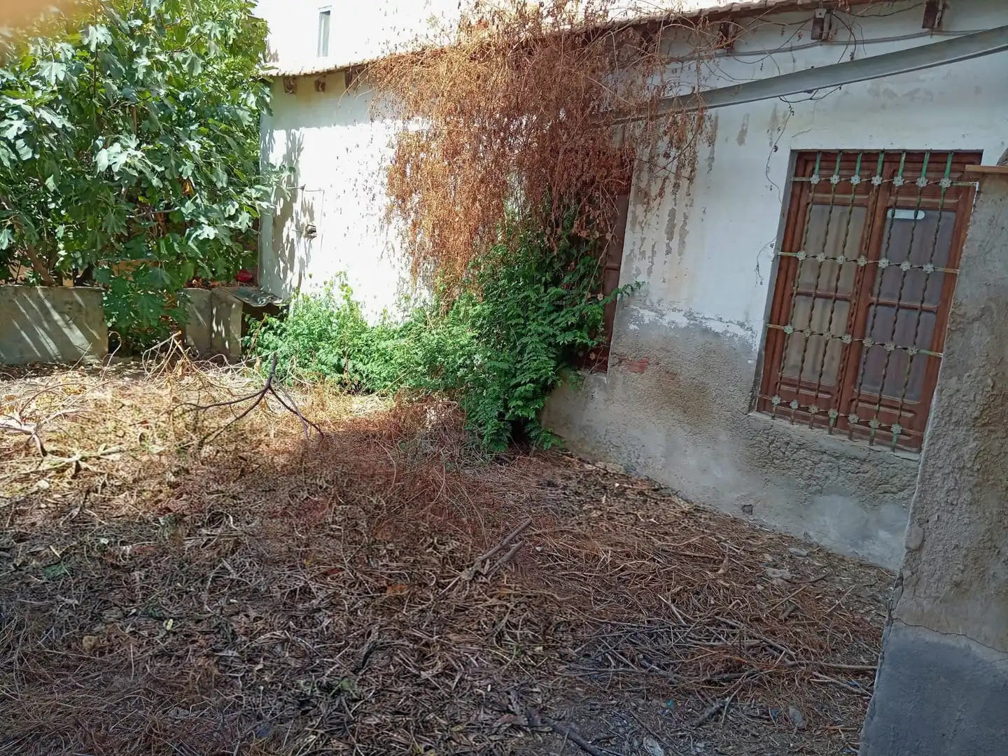 House with garden for sale in Pedanías Oeste, imagen 8