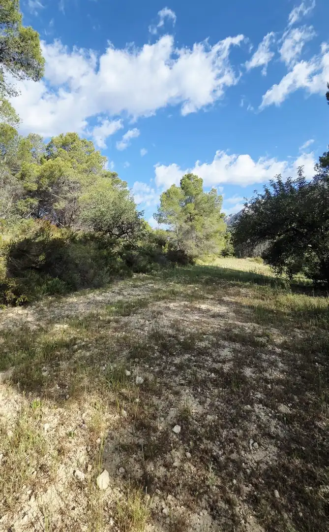 Grundstücke und Bauplätze zum Verkauf in El Castell de Guadalest, imagen 13