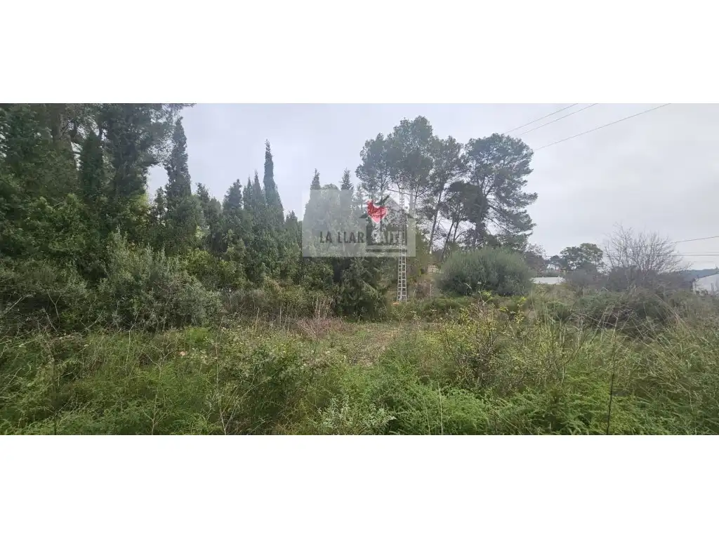 Terreny residencial en venda a Camino Pont Sec, imagen 4