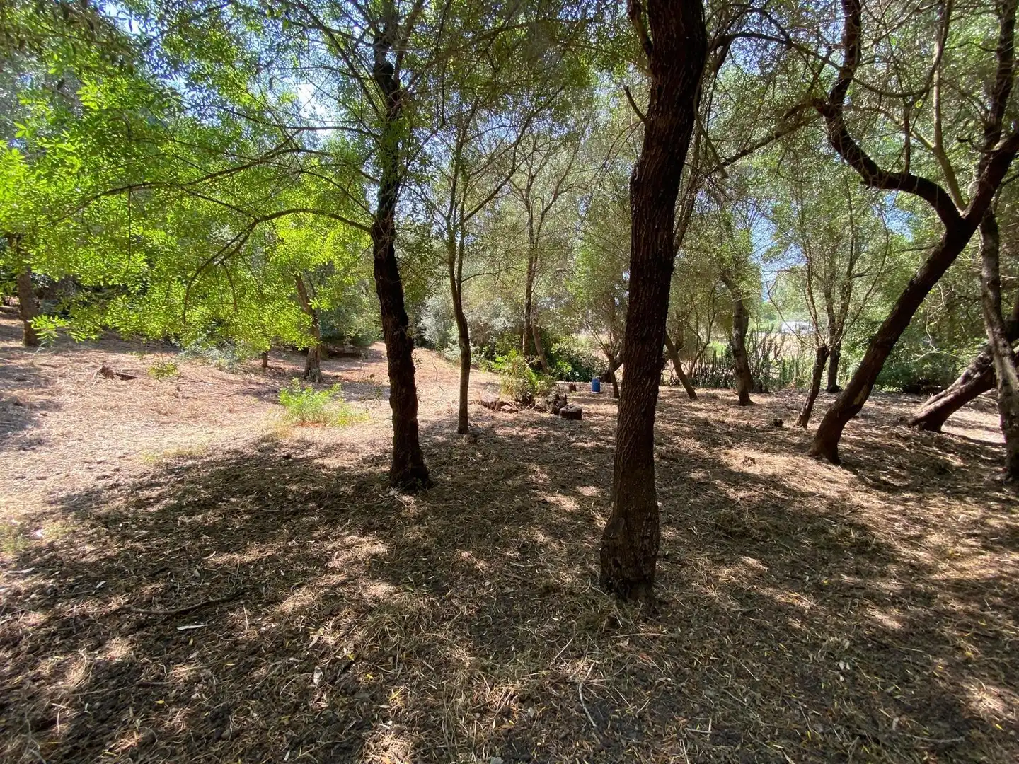 Casa o xalet en venda en Los Barrios amb Jardí privat, Terrassa i Traster