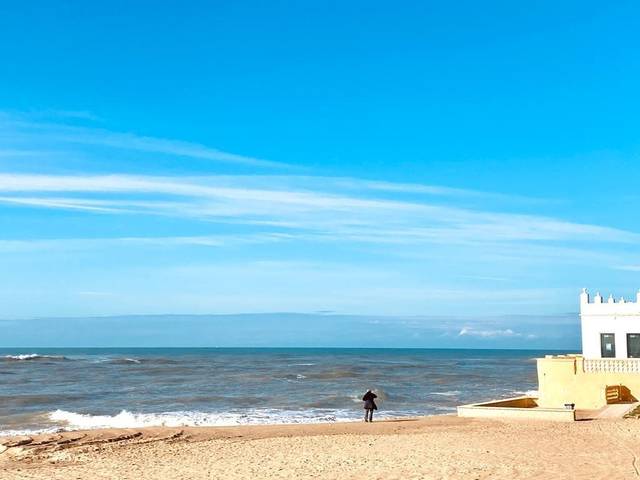 Planta baja en Venta en Centro