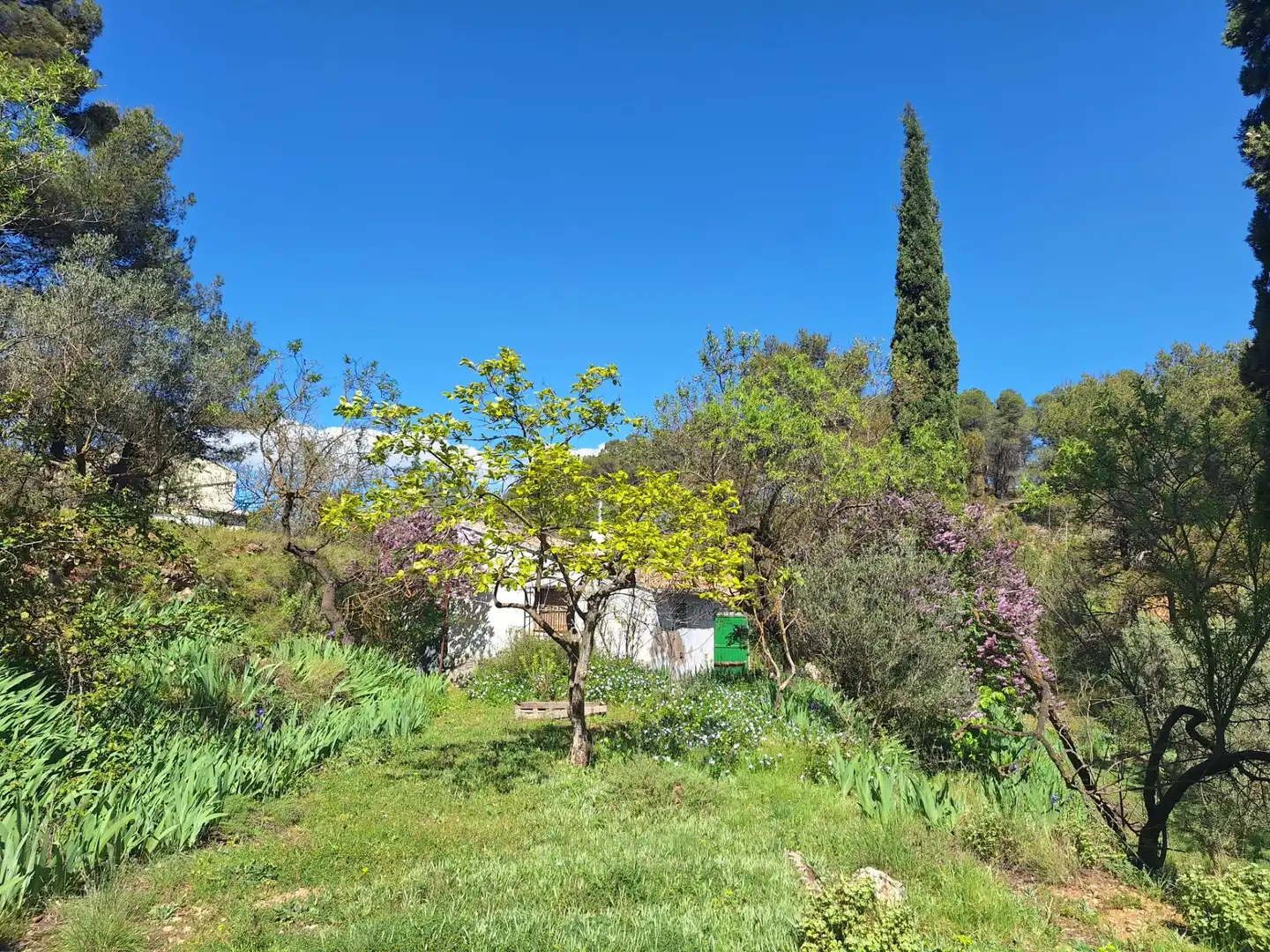 Jardí de Finca rústica en venda en Alcoy / Alcoi amb Traster i Moblat
