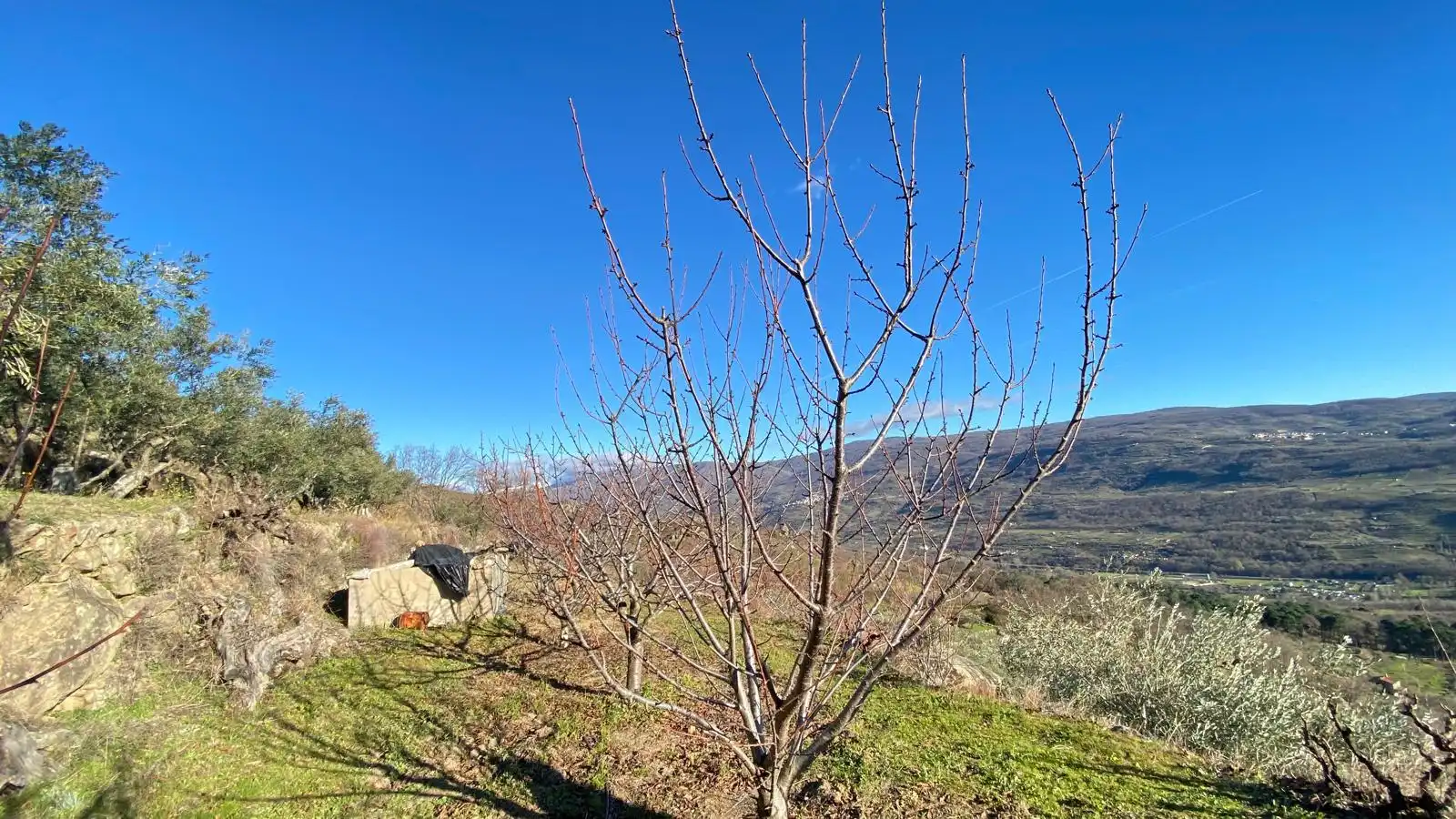 Terreni e lotti in vendita a El Torno, imagen 6