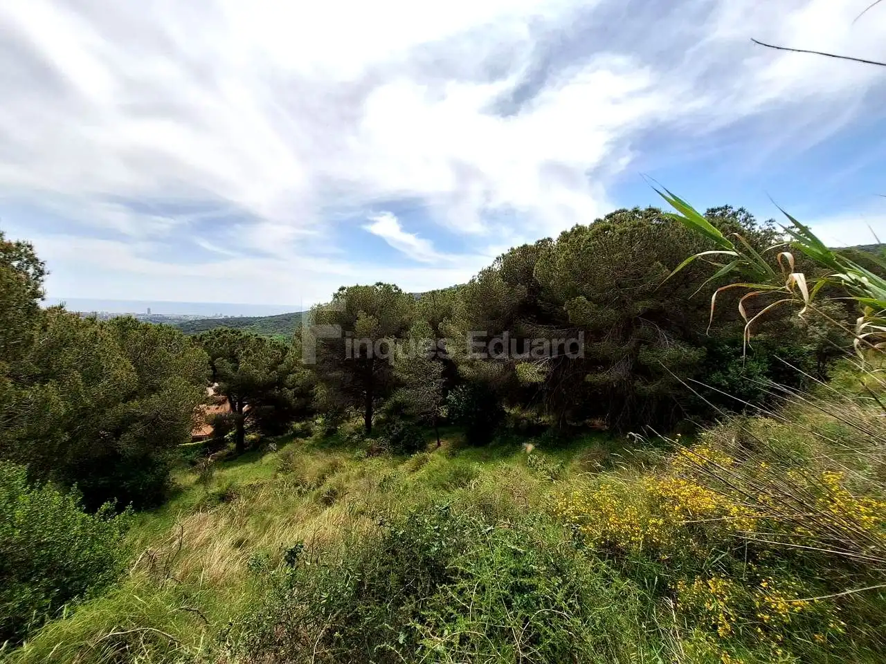 Lands and plots for sale in Nucli Urbà, imagen 9