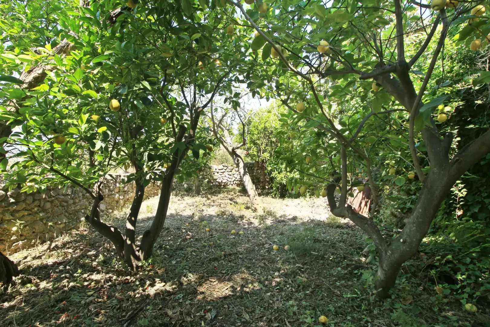 Casa amb jardí en venda a Campanet, imagen 6